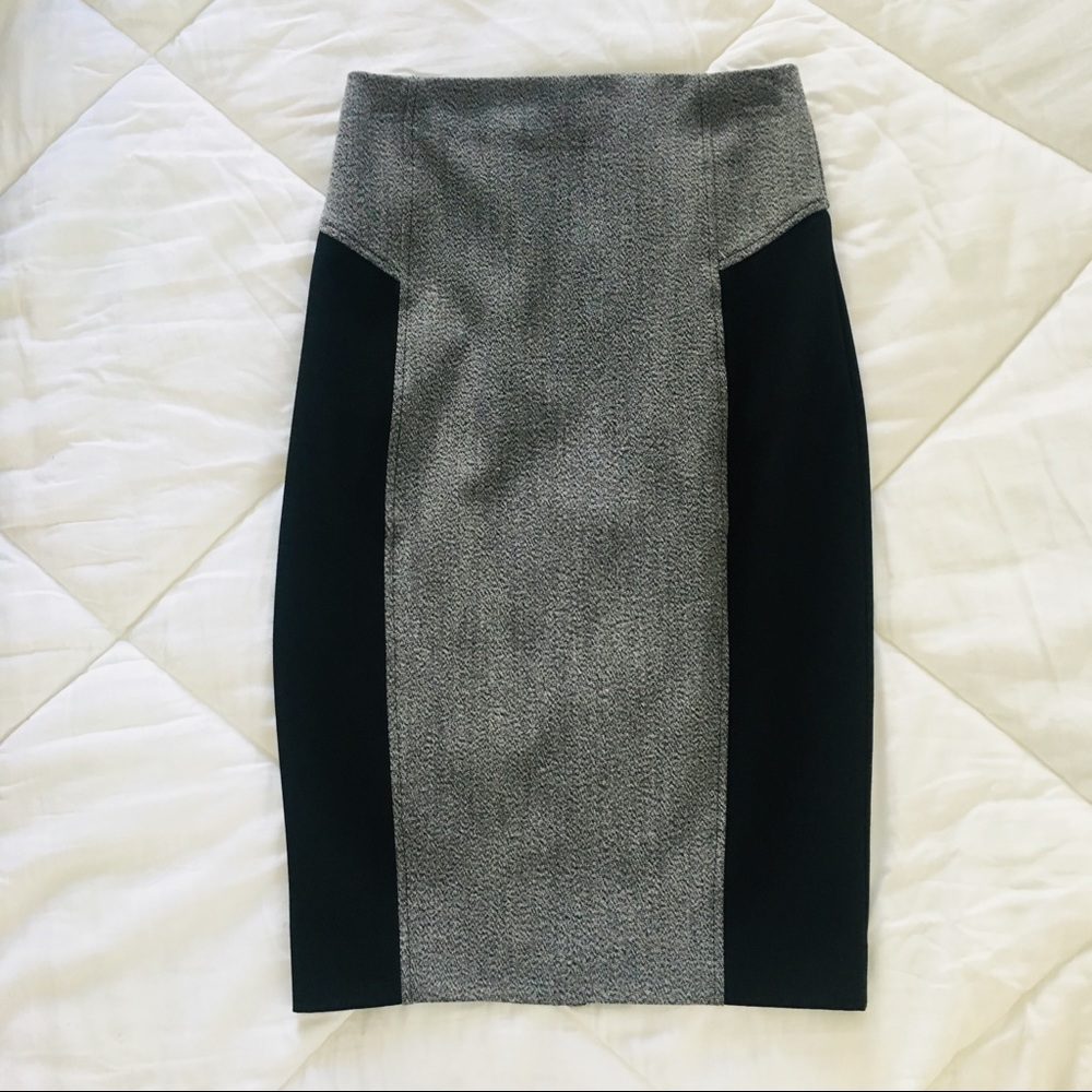 Express Tight Skirt